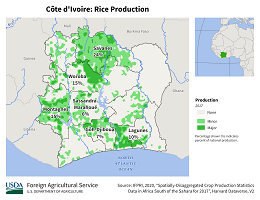 images\IV\cropprod\CoteDIvoire_Rice_preview.png